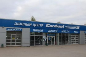 Зачем нужен профессиональный шиномонтаж и как выбрать сервис